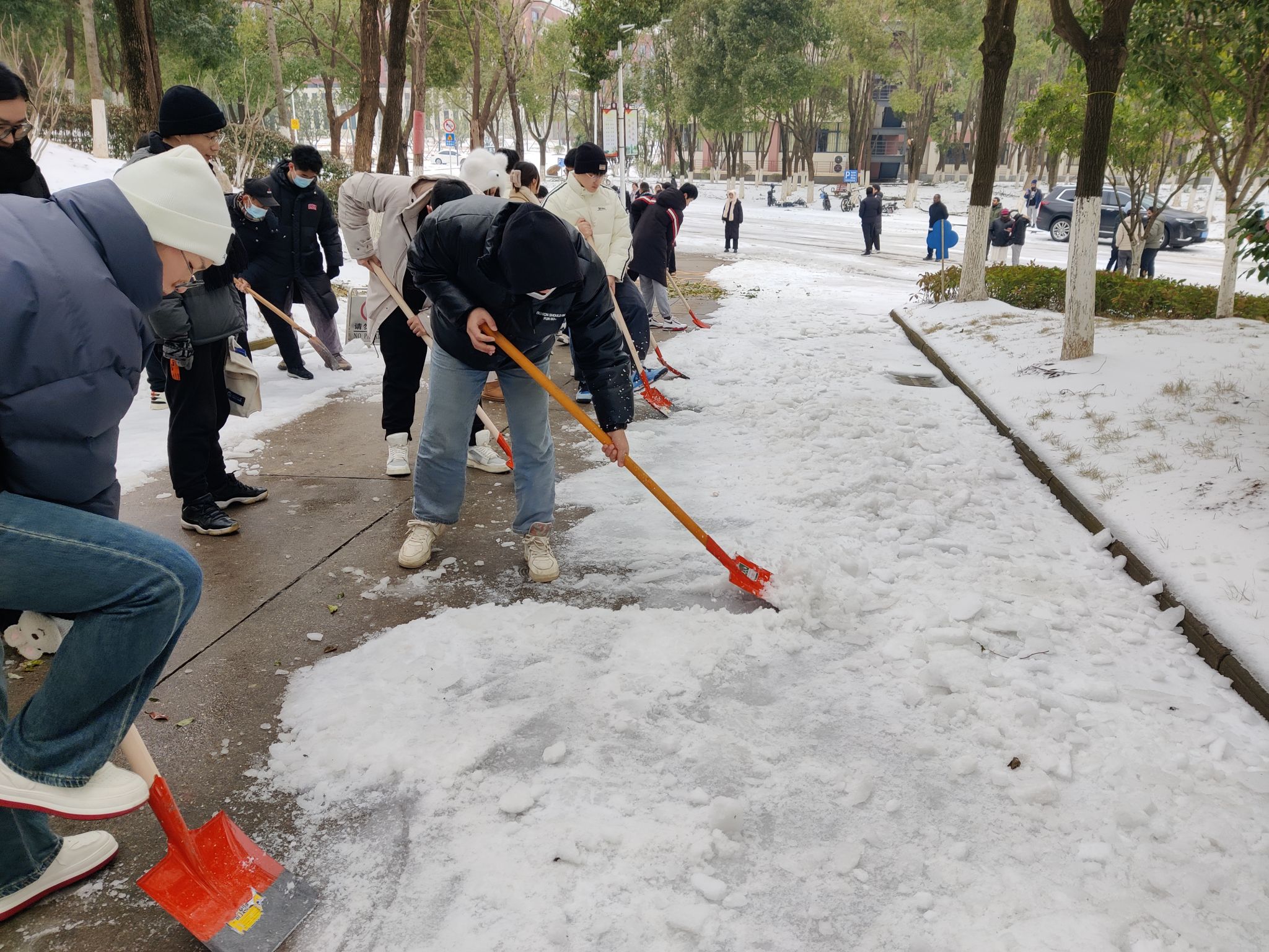 威廉希尔williamhill