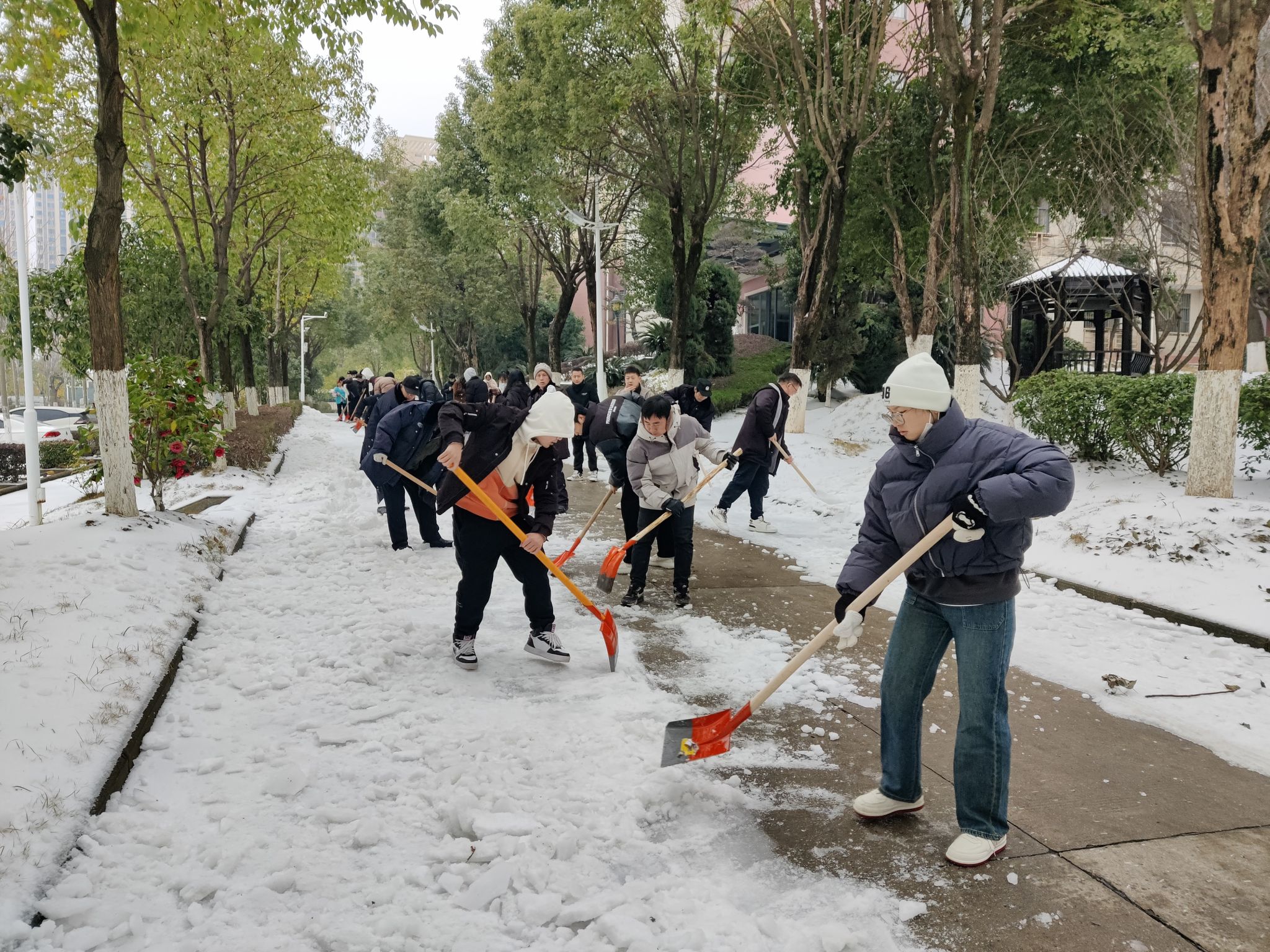 威廉希尔williamhill