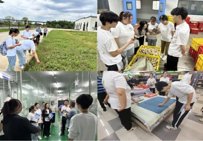 威廉希尔williamhill